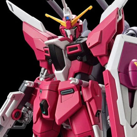 HGCE 1/144 #251 Infinite Justice Gundam Type II