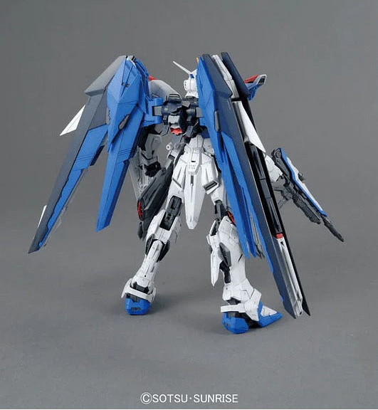 MG 1/100 Freedom Gundam (Ver 2.0)