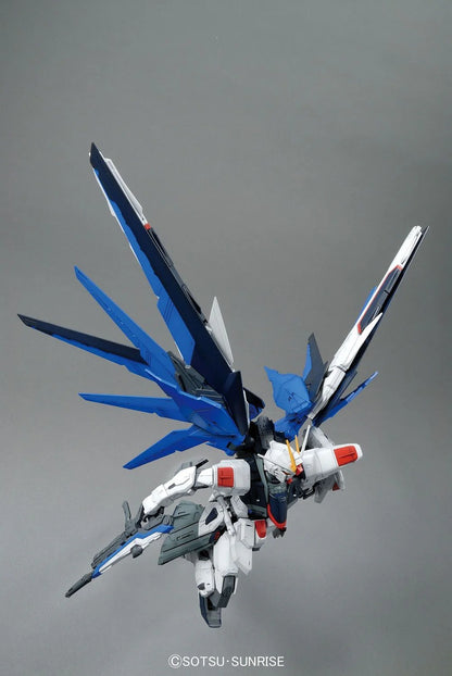 MG 1/100 Freedom Gundam (Ver 2.0)