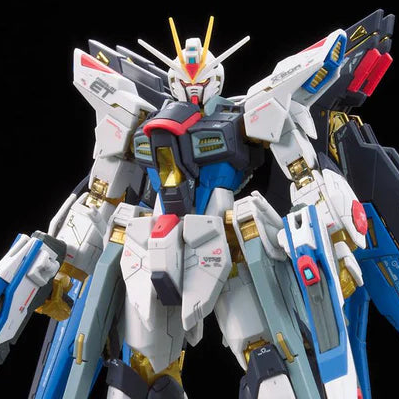 RG 1/144 #14 Strike Freedom Gundam