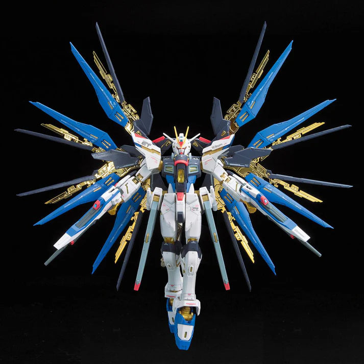 RG 1/144 #14 Strike Freedom Gundam
